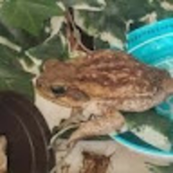 Meet your Posher, Stickyour - Picture 1 of 1